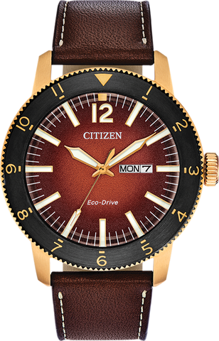 Citizen Eco Drive Brycen Men's Watch AW0076-03X
