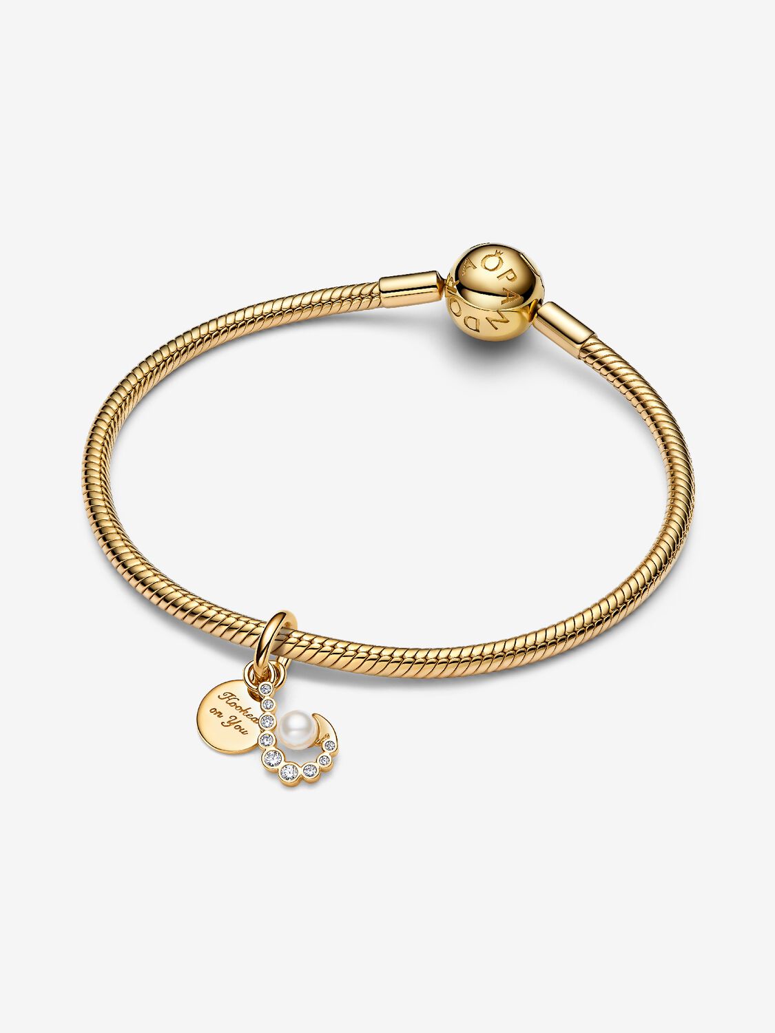 Pandora Hook Double Dangle Charm