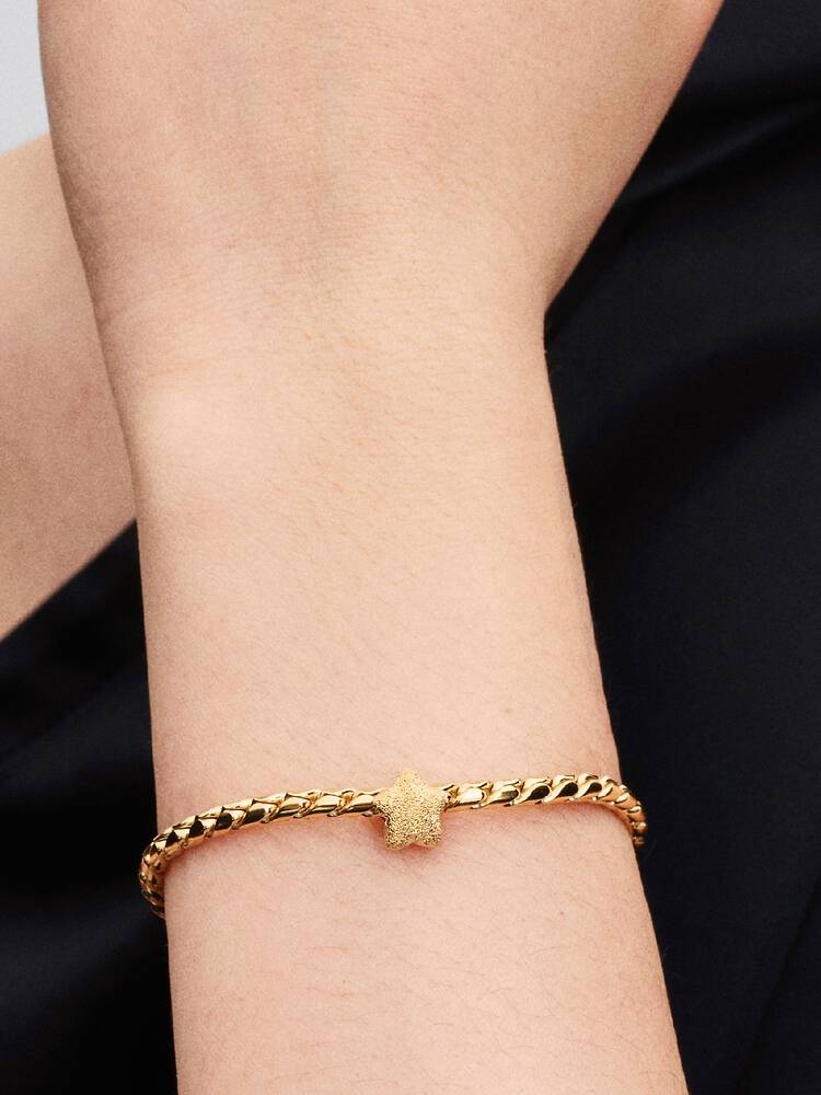 Pandora Textured Star Mini Charm