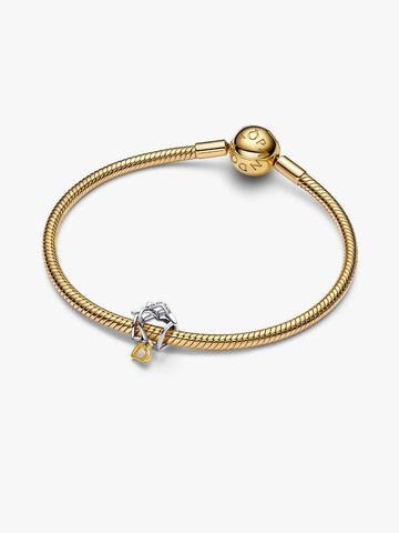 Pandora Home & Heart Charm