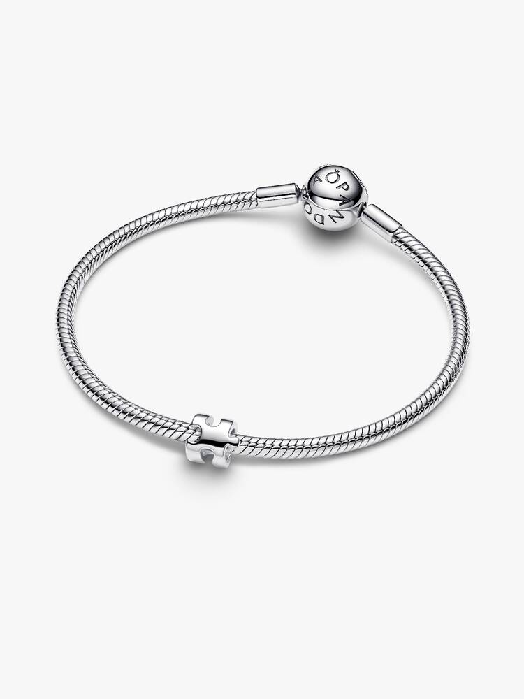 Pandora Puzzle Piece Mini Charm
