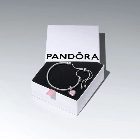 Pandora Pandora Moments silver 