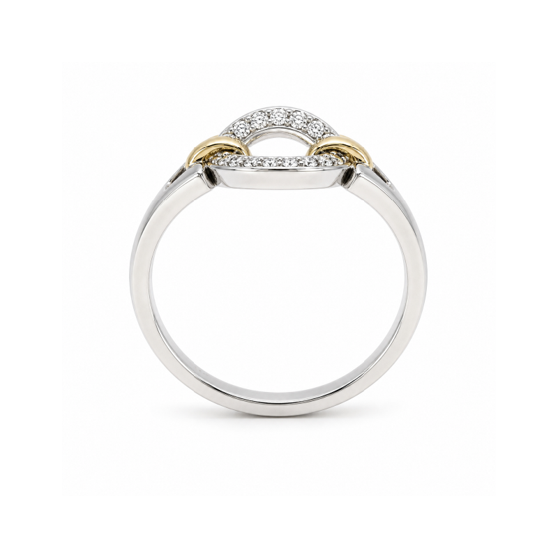 10K Yellow and White Gold 0.07TDW Circle Ring