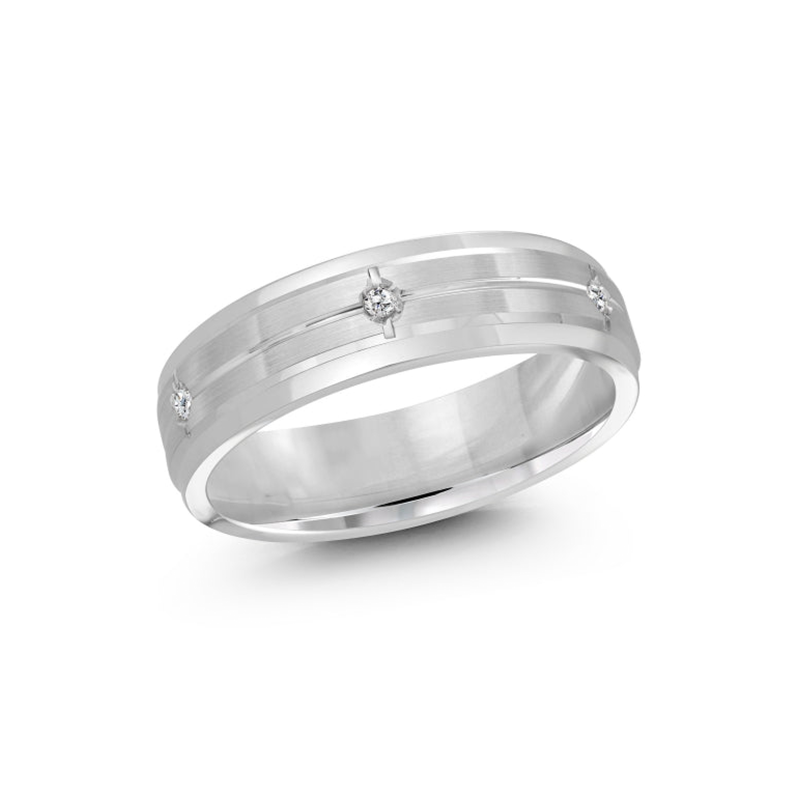 10K White Gold 0.06 TDW Diamond Band