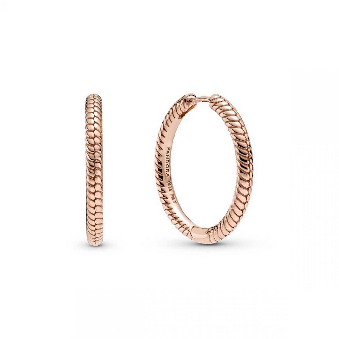 Pandora Moments Charm Hoop Earrings