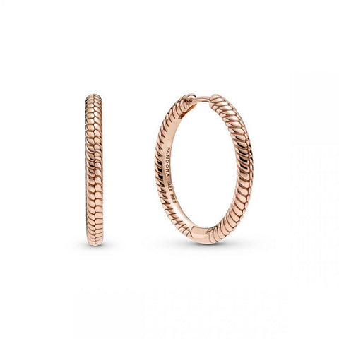 Pandora Moments Charm Hoop Earrings