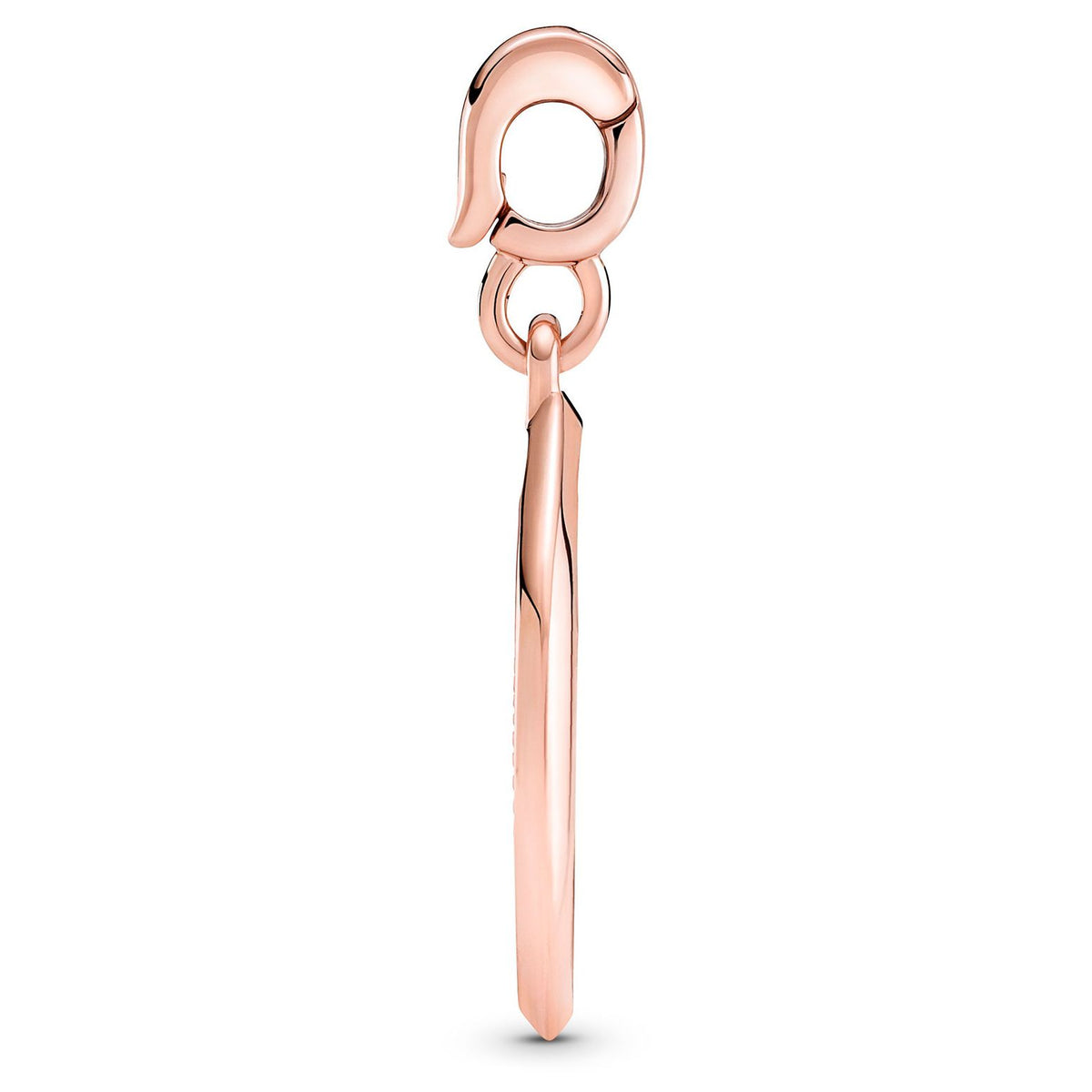 Pandora ME Burning Wings Medallion