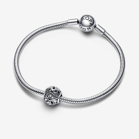 Pandora Fur Baby Hearts & Paw Prints Charm 
