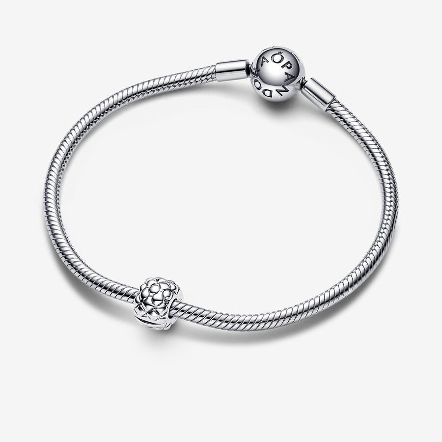 Pandora Studded Clip Charm