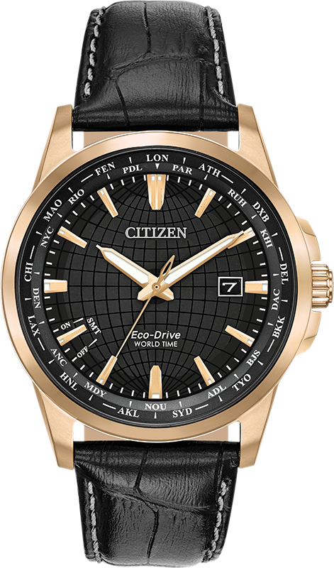 Citizen World Time Perpetual Calendar Eco-Drive Mens Watch BX1003-08E