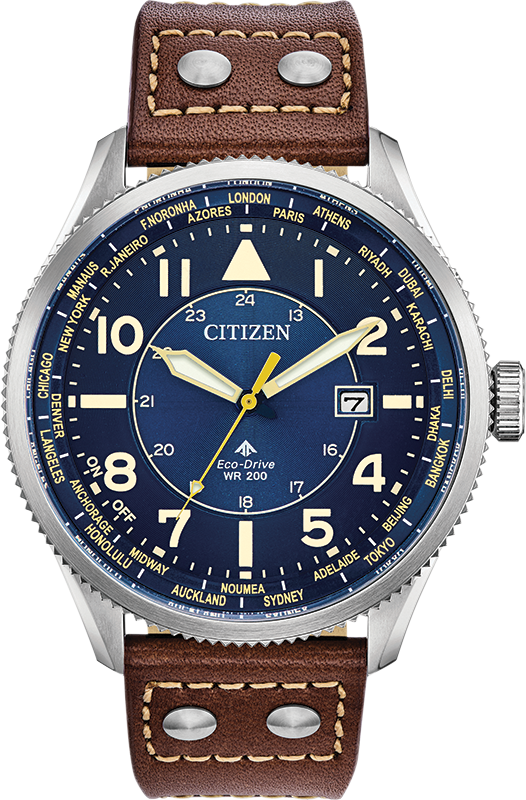 Citizen Promaster Eco-Drive Mens Watch BX1010-11L