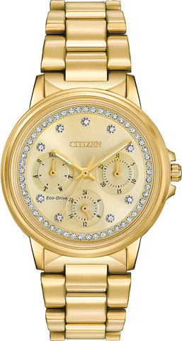 Citizen Eco Drive Chandler Women's Watch FD2042-51P